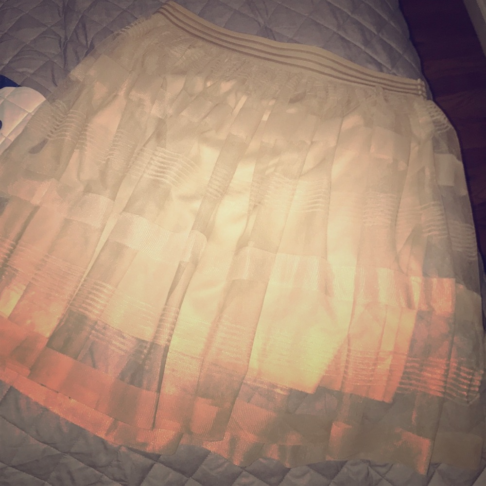 Beautiful Gold tulle ballerina style skirt